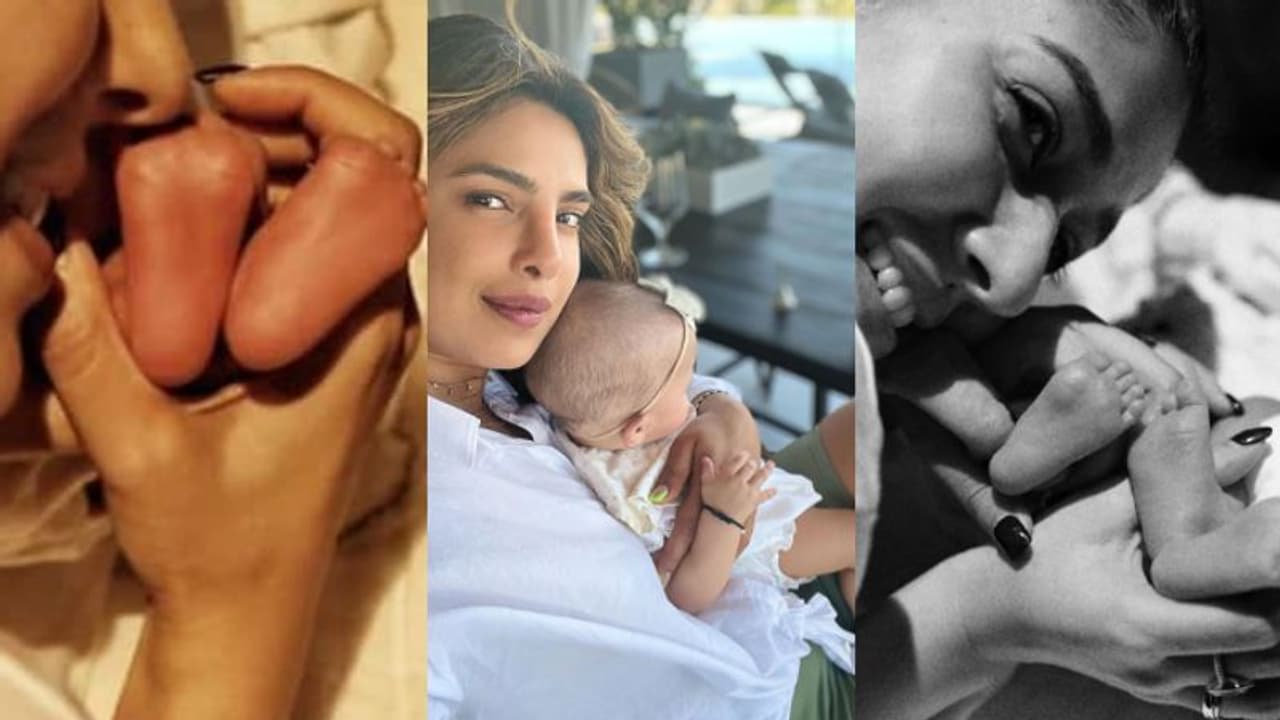 Surrogacy: പ്രിയങ്ക ചോപ്ര മുതല് നയൻതാര വരെ; വാടക ഗര്ഭധാരണത്തിലൂടെ അമ്മയായ താരങ്ങള്... Surrogacy: പ്രിയങ്ക ചോപ്ര മുതല് നയൻതാര വരെ; വാടക ഗര്ഭധാരണത്തിലൂടെ അമ്മയായ താരങ്ങള്...