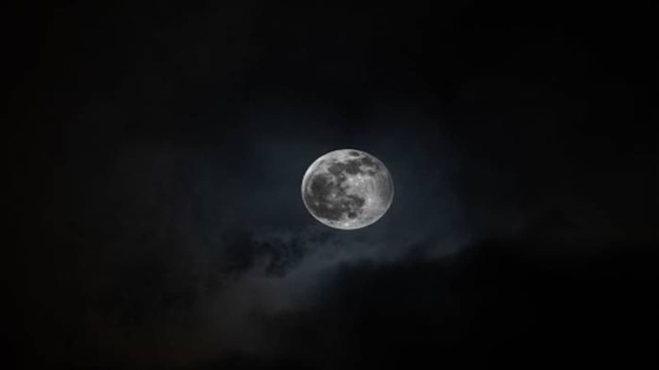 2025 ഓടെ ചന്ദ്രനിൽ സസ്യങ്ങൾ വളർത്തും; ഓസ്ട്രേലിയൻ ശാസ്ത്രജ്ഞർ പുതിയ ദൗത്യത്തിൽ 2025 ഓടെ ചന്ദ്രനിൽ സസ്യങ്ങൾ വളർത്തും; ഓസ്ട്രേലിയൻ ശാസ്ത്രജ്ഞർ പുതിയ ദൗത്യത്തിൽ