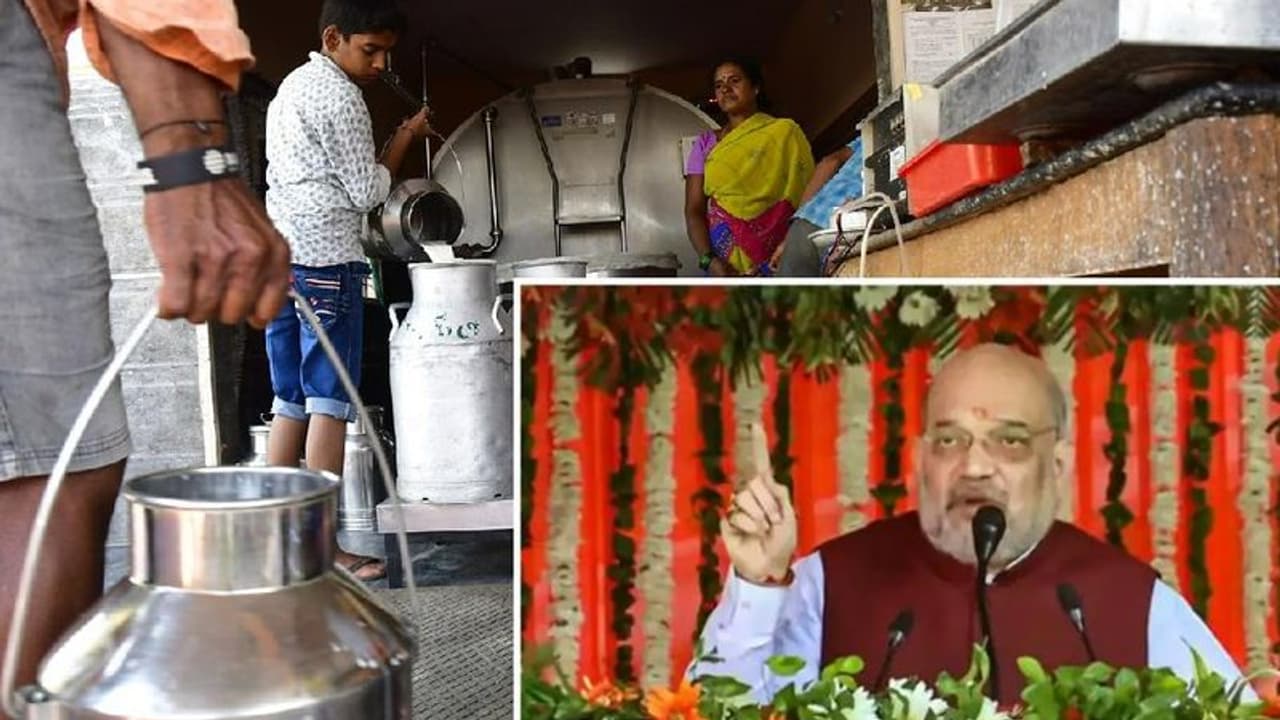 ಸಹಕಾರಿ ಒಕ್ಕೂಟಗಳೊಂದಿಗೆ ಅಮೂಲ್ ವಿಲೀನ: ಅಮಿತ್ ಷಾ