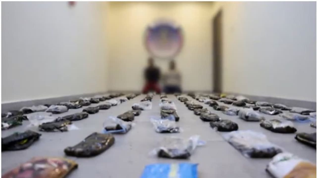 കുവൈത്തില്‍ വന്‍ ലഹരിമരുന്ന് വേട്ട; 131 കിലോ ഹാഷിഷ് പിടികൂടി