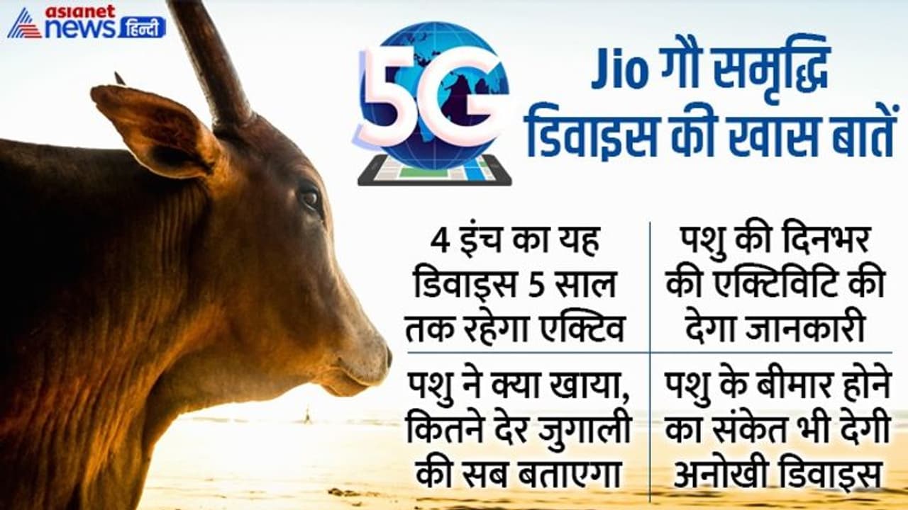 5G का फायदा! पशुओं को लंपी वायरस से बचाएगी, कब और कितना खाया, जुगाली की.. सब बताएगी JIO की ये डिवाइस 5G का फायदा! पशुओं को लंपी वायरस से बचाएगी, कब और कितना खाया, जुगाली की.. सब बताएगी JIO की ये डिवाइस