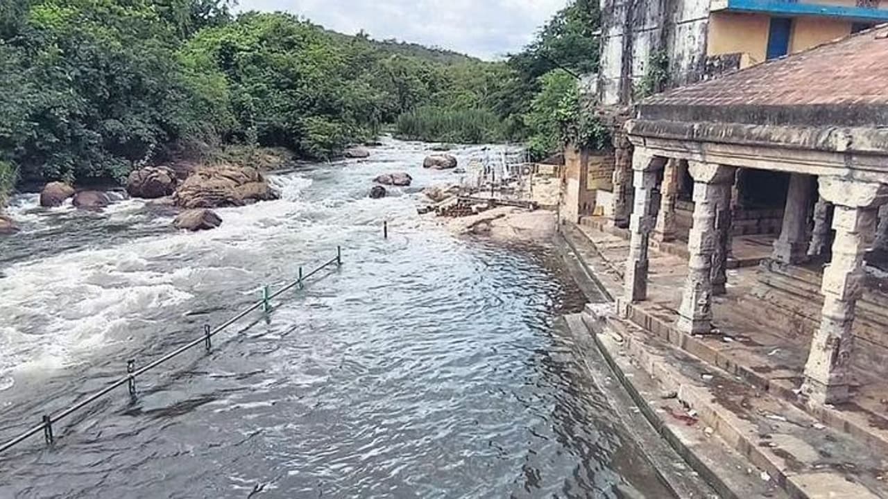 தாமிரபரணி நதிக்கரையோரம் வீற்றிருக்கும் நவகைலாயங்கள்... தோஷங்கள் விலக்கும் அதன் அதிசய வரலாறு தெரியுமா? 