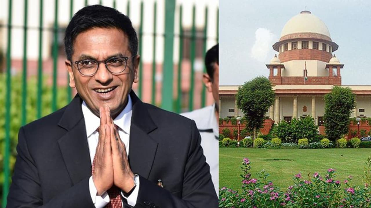 Justice D Y Chandrachud: தலைமை நீதிபதியாக சந்திரசூட் பதவி ஏற்புக்கு எதிரான வழக்கு: உச்ச நீதிமன்றம் விசாரணை Justice D Y Chandrachud: தலைமை நீதிபதியாக சந்திரசூட் பதவி ஏற்புக்கு எதிரான வழக்கு: உச்ச நீதிமன்றம் விசாரணை