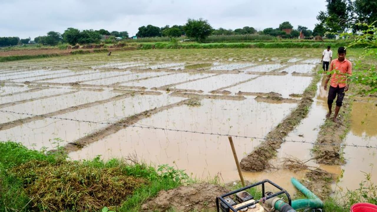 Weather Report: बेमौसम बारिश ने बिगाड़े कई राज्यों के हाल, यूपी में 1300 से अधिक गांवों में बाढ़ Weather Report: बेमौसम बारिश ने बिगाड़े कई राज्यों के हाल, यूपी में 1300 से अधिक गांवों में बाढ़