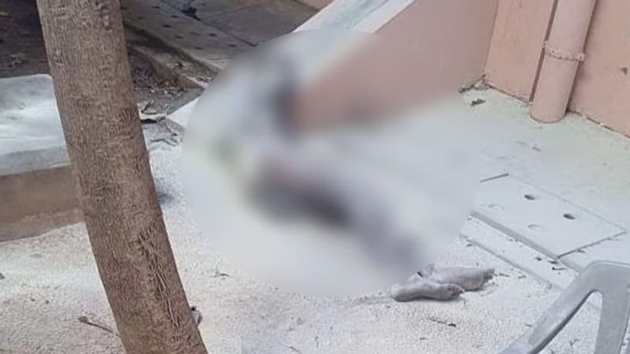 சாதி சான்றிதழ் கிடைக்காத விரக்தி.. சென்னை உயர்நீதிமன்ற வளாகத்தில் தீக்குளித்த நரிக்குறவர் உயிரிழப்பு..!