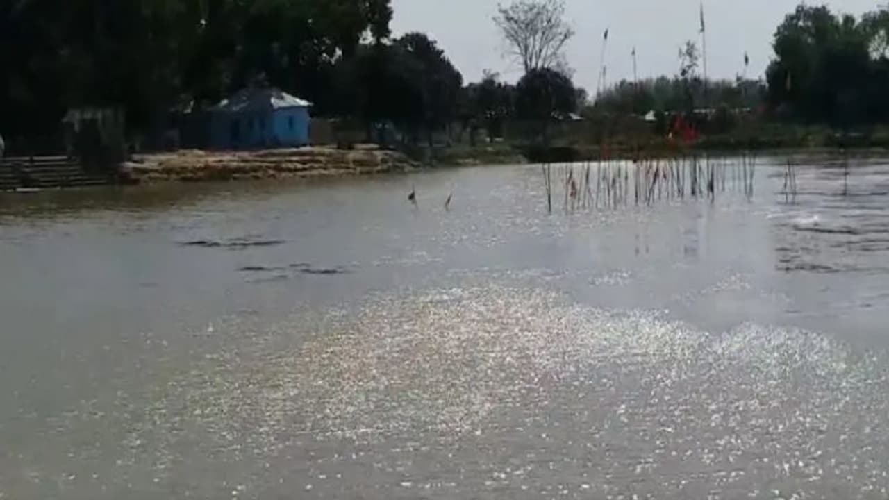 చెరువులో స్నానం చేస్తున్న దళిత మహిళను తిట్టి, బట్టలు పారేసిన డీఎంకే సభ్యుడు.. తమిళనాడులో ఘటన చెరువులో స్నానం చేస్తున్న దళిత మహిళను తిట్టి, బట్టలు పారేసిన డీఎంకే సభ్యుడు.. తమిళనాడులో ఘటన