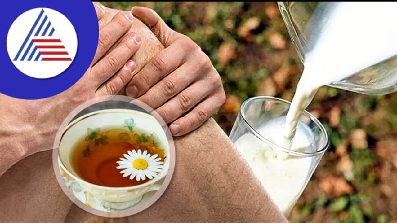 World Arthritis Day: ಸಂಧಿವಾತ, ಉರಿಯೂತಕ್ಕೆ ಈ ಜ್ಯೂಸ್ ಬೆಸ್ಟ್ ಮನೆ ಮದ್ದು World Arthritis Day: ಸಂಧಿವಾತ, ಉರಿಯೂತಕ್ಕೆ ಈ ಜ್ಯೂಸ್ ಬೆಸ್ಟ್ ಮನೆ ಮದ್ದು