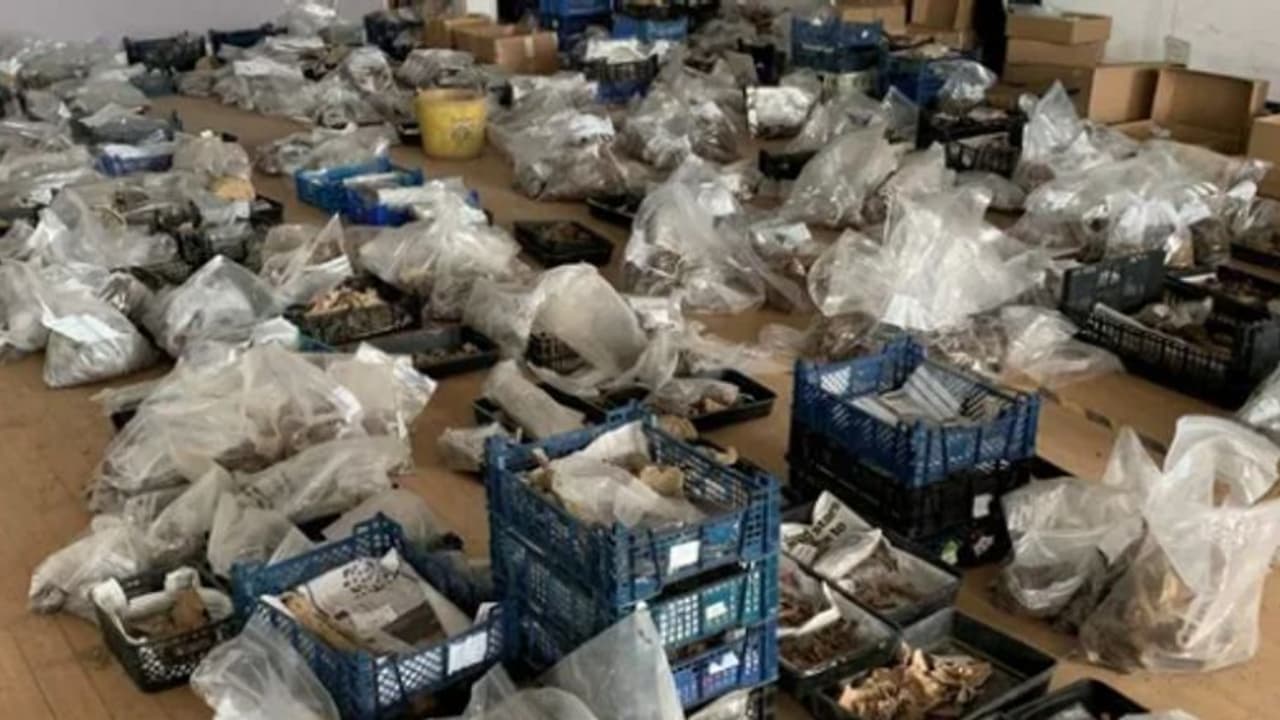 അടച്ചിട്ട കെട്ടിടത്തിന് അടിയില്‍ കുട്ടികളടക്കം 240 ലധികം പേരുടെ ശരീര അവശിഷ്ടങ്ങൾ