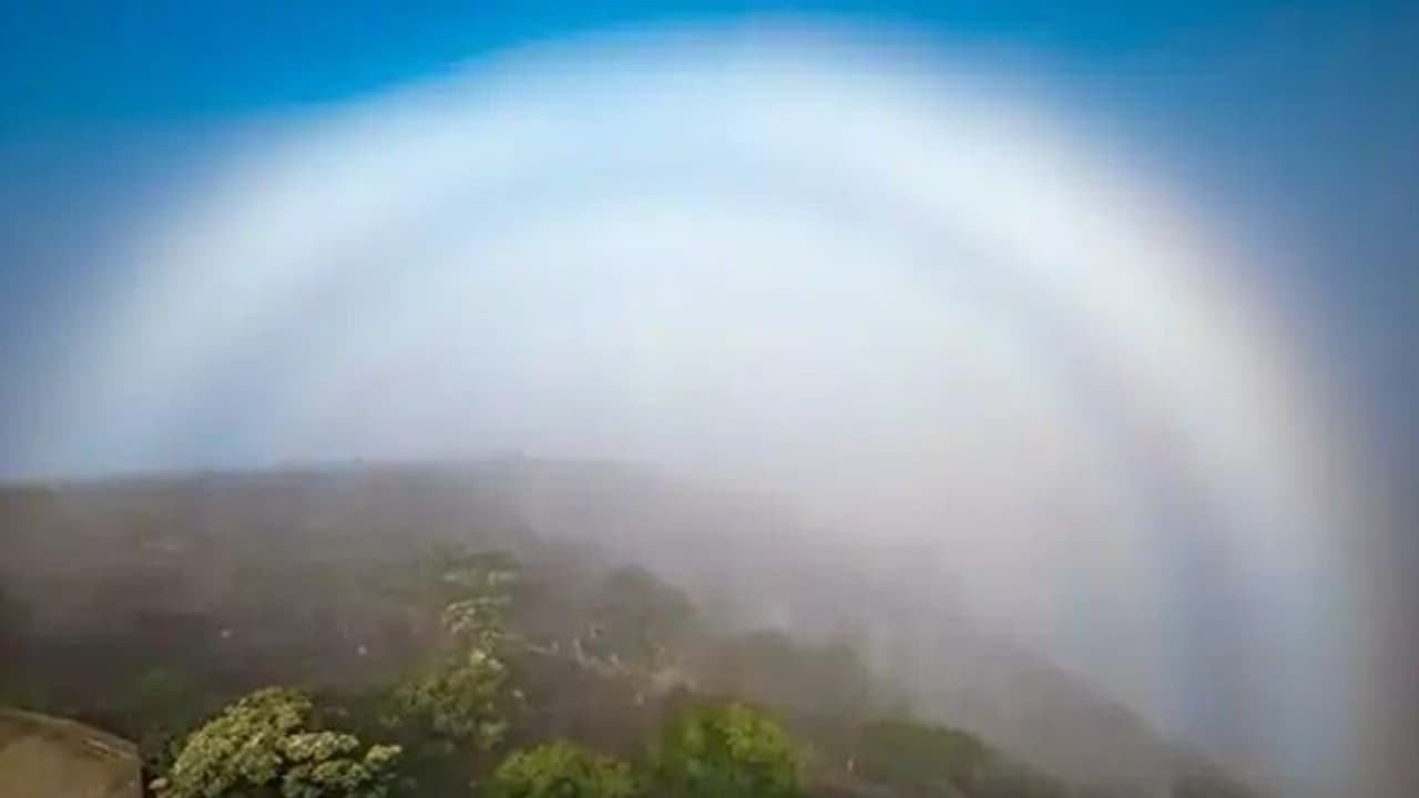 ഇത് 'റെയിൻബോ' അല്ല, 'ഫോഗ്ബോ'; അസാധാരണമായ കാഴ്ച