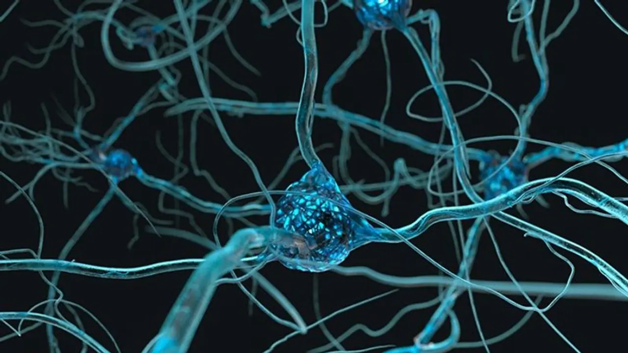 Lab grown human brain cells play video game Pong 