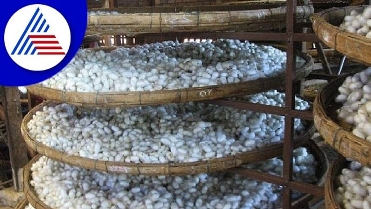 ರೇಷ್ಮೆ ಇಲಾಖೆಯ 2000 ಹುದ್ದೆಗಳನ್ನು ರದ್ದತಿಗೆ ಎಐಡಿವೈಒ ವಿರೋಧ ರೇಷ್ಮೆ ಇಲಾಖೆಯ 2000 ಹುದ್ದೆಗಳನ್ನು ರದ್ದತಿಗೆ ಎಐಡಿವೈಒ ವಿರೋಧ