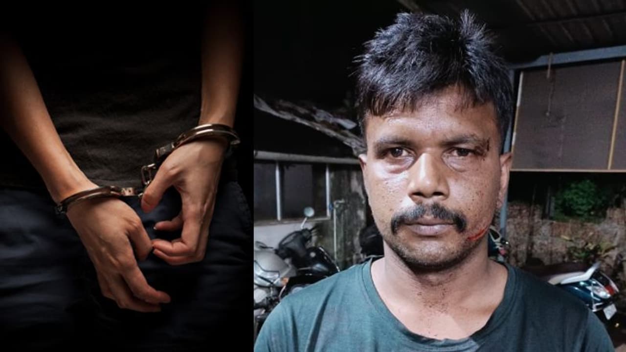 'അശ്ലീല സന്ദേശമയച്ചതിന് ക്വട്ടേഷന്'; യുവാവിനെ തട്ടിക്കൊണ്ടുപോയി മര്ദ്ദിച്ചു, 'ആട്ടി' ഷാഹുല് പിടിയില് 'അശ്ലീല സന്ദേശമയച്ചതിന് ക്വട്ടേഷന്'; യുവാവിനെ തട്ടിക്കൊണ്ടുപോയി മര്ദ്ദിച്ചു, 'ആട്ടി' ഷാഹുല് പിടിയില്