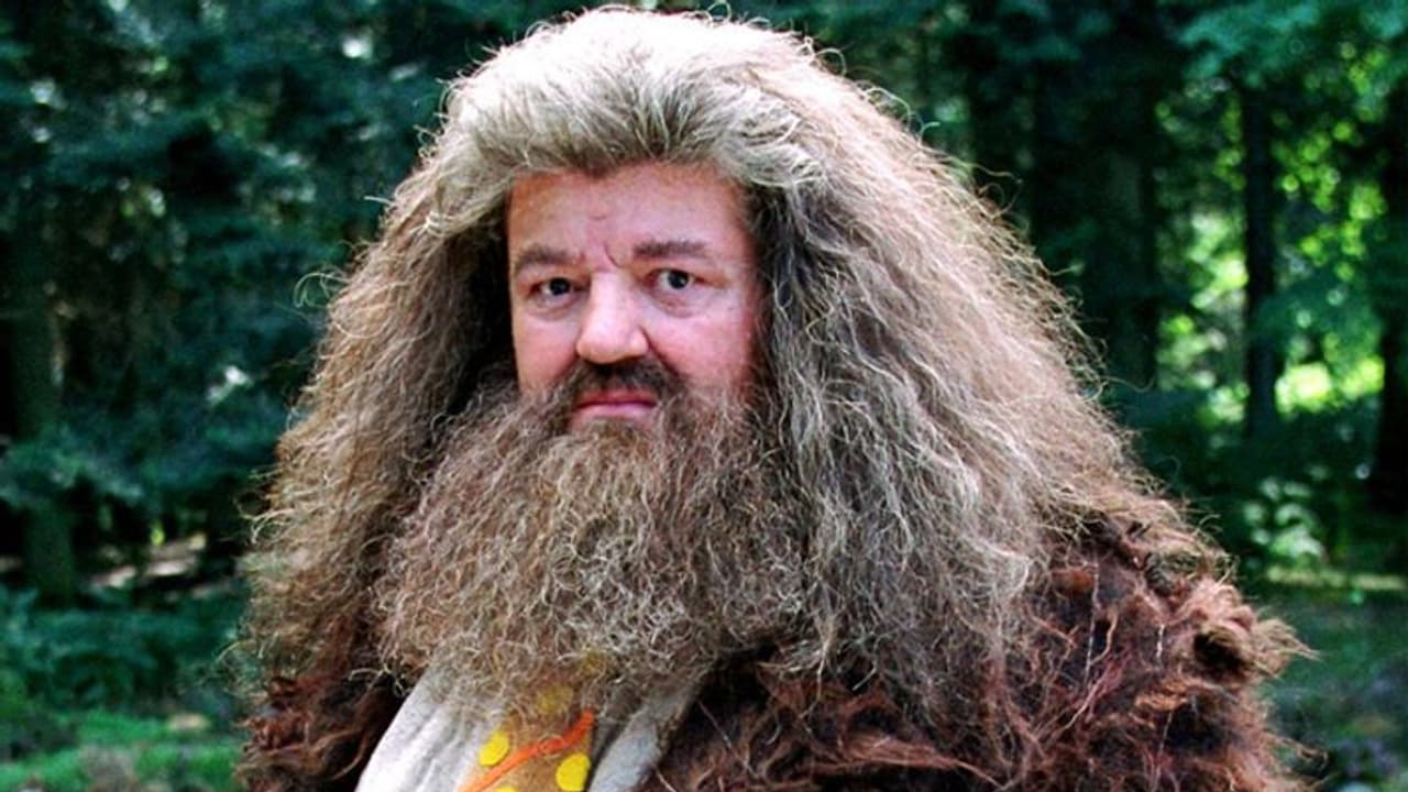 'हैरी पोटर' फिल्मों के दिग्गज एक्टर का निधन, 72 साल की उम्र में ली अंतिम सांस 'हैरी पोटर' फिल्मों के दिग्गज एक्टर का निधन, 72 साल की उम्र में ली अंतिम सांस