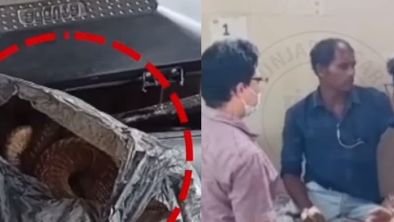 രാജവെമ്പാല തന്നെ കടിച്ചെന്നും, കടിച്ച രജവെമ്പല ചത്തെന്നും പറഞ്ഞ് മദ്യപാനി ആശുപത്രിയില് വീഡിയോ രാജവെമ്പാല തന്നെ കടിച്ചെന്നും, കടിച്ച രജവെമ്പല ചത്തെന്നും പറഞ്ഞ് മദ്യപാനി ആശുപത്രിയില് വീഡിയോ