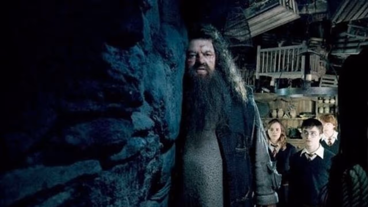 Who was ‘Harry Potter’ star Robbie Coltrane? Daniel Radcliffe, Emma Watson pay tribute to ‘Hagrid’ Who was ‘Harry Potter’ star Robbie Coltrane? Daniel Radcliffe, Emma Watson pay tribute to ‘Hagrid’