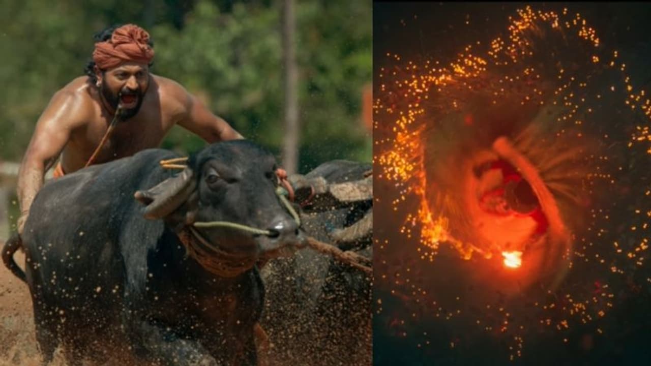 മിസ് ചെയ്യരുതെന്ന് പൃഥ്വിരാജ് പറഞ്ഞ കന്നഡ ചിത്രം; 'കാന്താരാ' മലയാളം ട്രെയ്‍ലര്‍ എത്തി