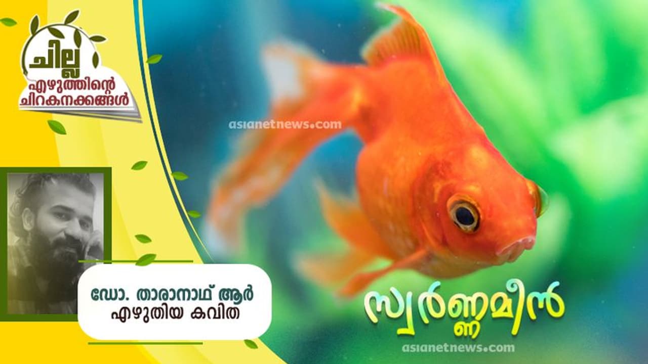 Malayalam Poem: സ്വര്ണ്ണമീന്, ഡോ. താരാനാഥ് ആര് എഴുതിയ കവിത Malayalam Poem: സ്വര്ണ്ണമീന്, ഡോ. താരാനാഥ് ആര് എഴുതിയ കവിത
