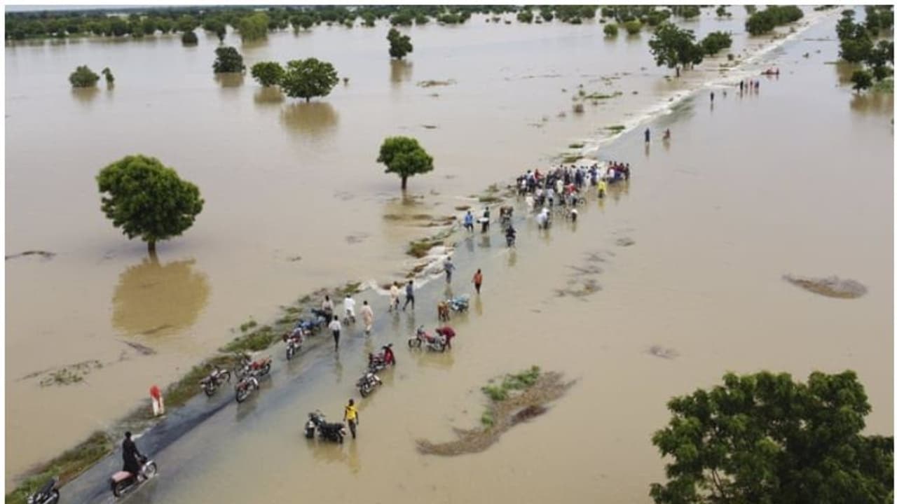 കണ്ണീർ കടലായി നൈജീരിയ, സർവനാശം വിതച്ച് മഹാ പ്രളയം; മരണം 500 കടന്നു, ലക്ഷത്തിലേറെ വീടുകൾ വെള്ളത്തിനിടയിൽ