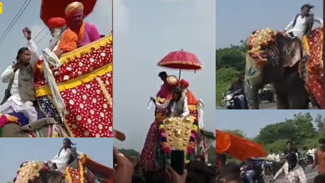 ಮೆರವಣಿಗೆ ವೇಳೆ ಕರೆಂಟ್ ಶಾಕ್: ತನ್ನ ಮೇಲಿದ್ದವರ ಕೆಳಗುರುಳಿಸಿ ಆನೆ ಎಸ್ಕೇಪ್