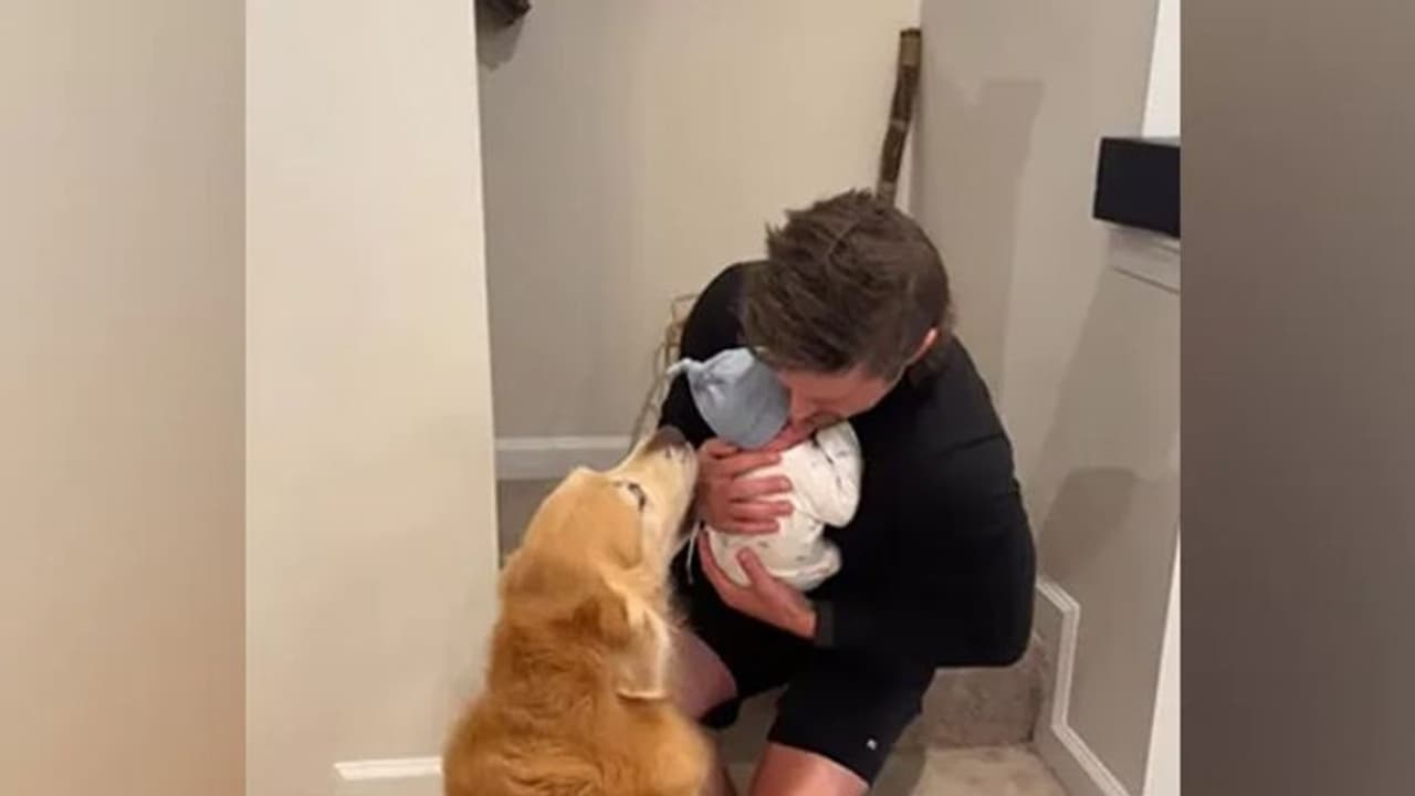 വീട്ടില് ജനിച്ച കുഞ്ഞിനെ ആദ്യമായി കാണുന്ന വളര്ത്തുനായ്ക്കള്; വീഡിയോ വീട്ടില് ജനിച്ച കുഞ്ഞിനെ ആദ്യമായി കാണുന്ന വളര്ത്തുനായ്ക്കള്; വീഡിയോ