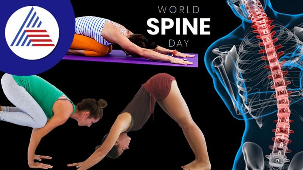 World Spine Day: ಬೆನ್ನು ನೋವಿನಿಂದ ಕಂಗೆಟ್ಟಿದ್ದೀರಾ ? ಸರಳ ಯೋಗಾಸನ ಮಾಡಿ ಸಾಕು World Spine Day: ಬೆನ್ನು ನೋವಿನಿಂದ ಕಂಗೆಟ್ಟಿದ್ದೀರಾ ? ಸರಳ ಯೋಗಾಸನ ಮಾಡಿ ಸಾಕು