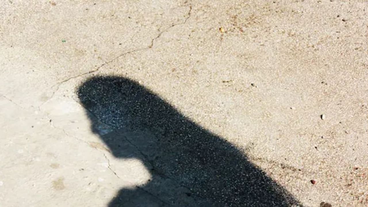 റിയാദിൽ ദുരൂഹ സാഹചര്യത്തില് കാണാതായ പെണ്കുട്ടിയെ കണ്ടെത്തി റിയാദിൽ ദുരൂഹ സാഹചര്യത്തില് കാണാതായ പെണ്കുട്ടിയെ കണ്ടെത്തി