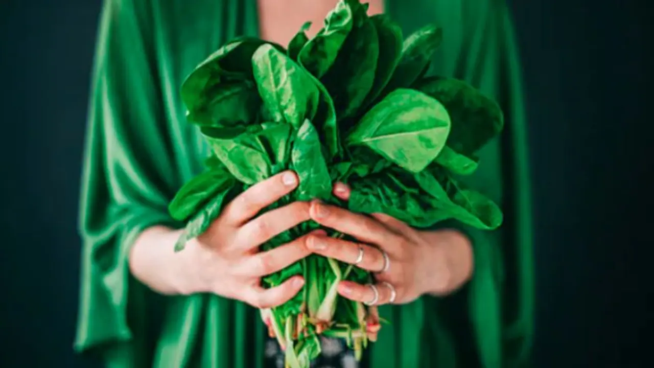 വിളർച്ച തടയാൻ ഡയറ്റില് ഉള്പ്പെടുത്താം ഇരുമ്പ് അടങ്ങിയ ഈ എട്ട് ഭക്ഷണങ്ങൾ... വിളർച്ച തടയാൻ ഡയറ്റില് ഉള്പ്പെടുത്താം ഇരുമ്പ് അടങ്ങിയ ഈ എട്ട് ഭക്ഷണങ്ങൾ...