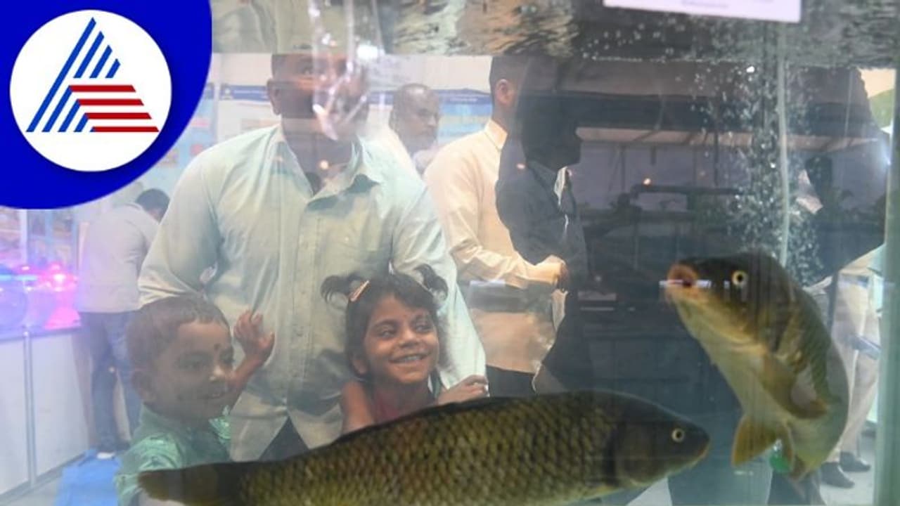 ಅರಮನೆ ಮೈದಾನದಲ್ಲಿ ಮತ್ಸ್ಯಲೋಕ ಅನಾವರಣ ಅರಮನೆ ಮೈದಾನದಲ್ಲಿ ಮತ್ಸ್ಯಲೋಕ ಅನಾವರಣ