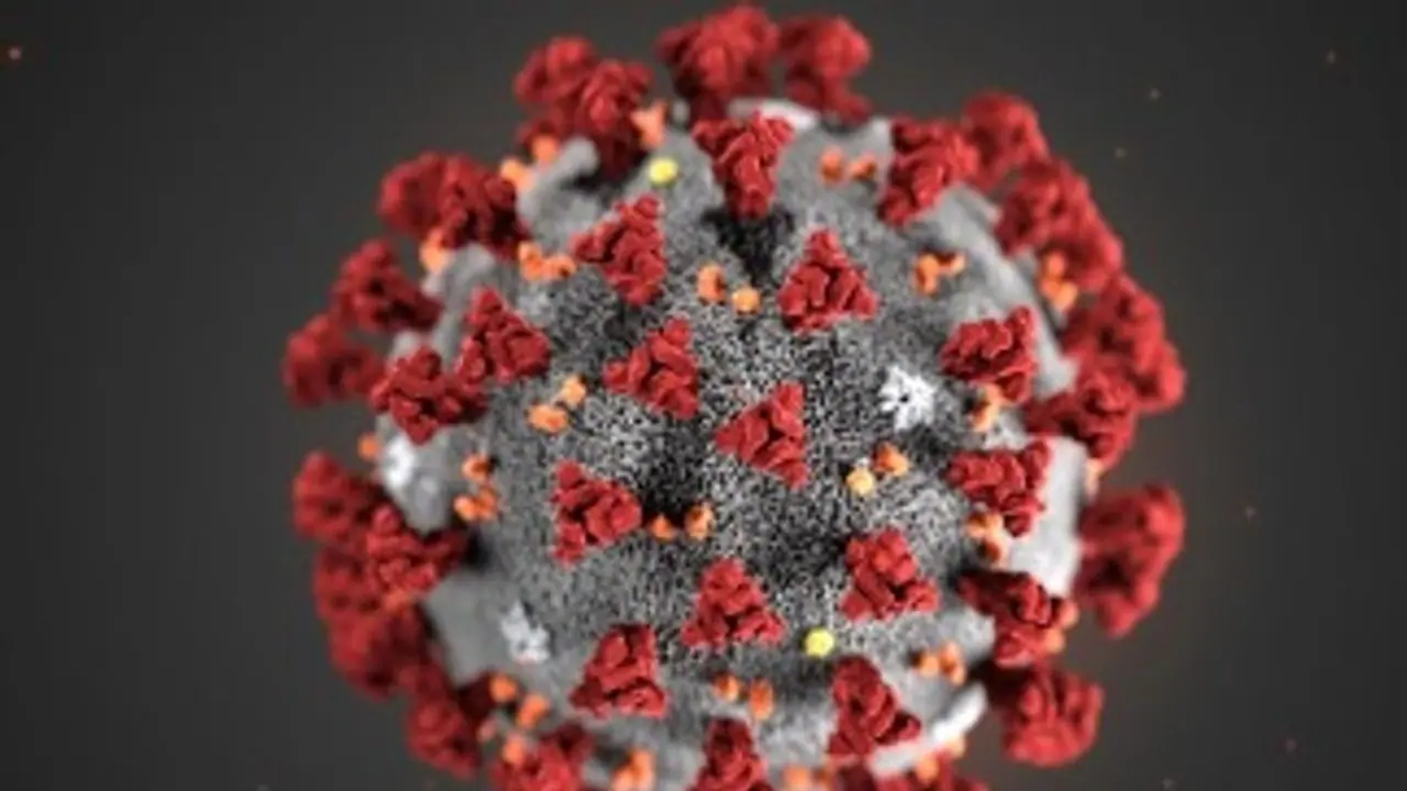 కోవిడ్ 19 పురుషులలో వీర్యం నాణ్యతను దెబ్బతీస్తుంది వెల్లడించిన ఎయిమ్స్ అధ్యయనం కోవిడ్ 19 పురుషులలో వీర్యం నాణ్యతను దెబ్బతీస్తుంది వెల్లడించిన ఎయిమ్స్ అధ్యయనం