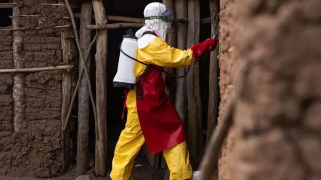 എബോള വൈറസ് വ്യാപനം; ഉഗാണ്ടയില് പ്രാദേശിക ലോക്ഡൗണ് എബോള വൈറസ് വ്യാപനം; ഉഗാണ്ടയില് പ്രാദേശിക ലോക്ഡൗണ്