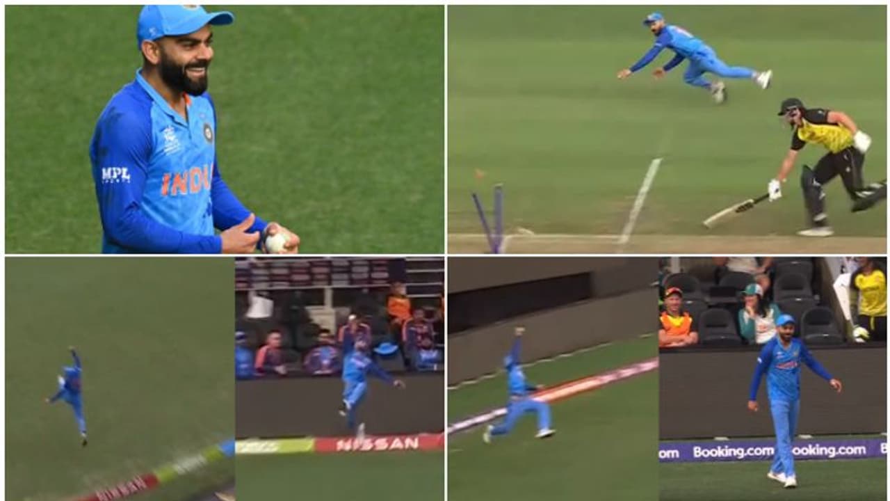 പായും കോലി, പറക്കും കോലി; അമ്പരപ്പിച്ച റൗൺഔട്ടും ക്യാച്ചും, ഓസ്ട്രേലിയയുടെ അന്തകനായ സൂപ്പർമാൻ! വീഡിയോ