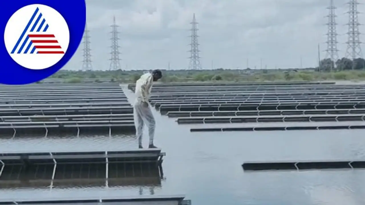 Tumakuru Rain; ಮುಳುಗಿದ ಏಷ್ಯಾದ ಅತೀ ದೊಡ್ಡ ಸೌರ ಘಟಕ, ಯುವಕ ಈಜುತ್ತಿರುವ ವಿಡಿಯೋ ವೈರಲ್