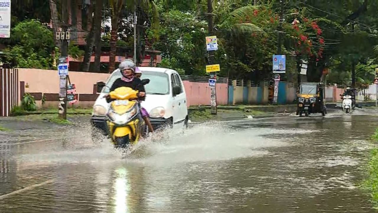 സംസ്ഥാനത്ത് മഴ കനക്കും, ശനിയാഴ്ച വരെ വ്യാപക മഴ; 13 ജില്ലകളിൽ ഇന്ന് യെല്ലോ അലർട്ട് സംസ്ഥാനത്ത് മഴ കനക്കും, ശനിയാഴ്ച വരെ വ്യാപക മഴ; 13 ജില്ലകളിൽ ഇന്ന് യെല്ലോ അലർട്ട്