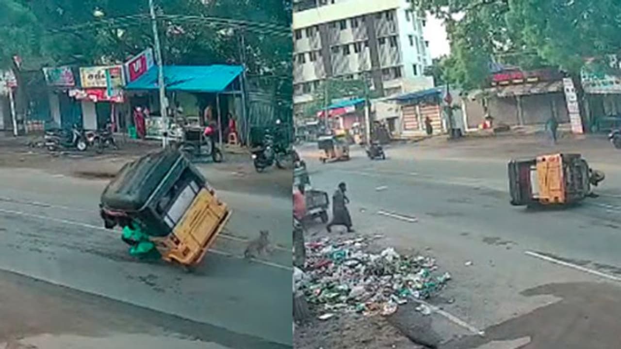 வேகமாக வந்த பயணிகள் ஆட்டோ.. நாய் குறுக்கே வந்ததால் கவிழ்ந்து விபத்து.. 4 பேர் படுகாயம்..! வேகமாக வந்த பயணிகள் ஆட்டோ.. நாய் குறுக்கே வந்ததால் கவிழ்ந்து விபத்து.. 4 பேர் படுகாயம்..!