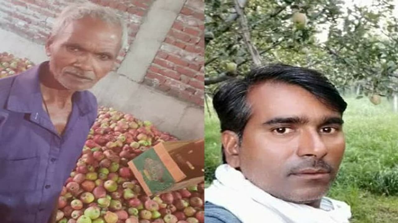 आतंकी हमला: 10 रु. में सेब की पेटी भरने के लिए गए थे मजदूर, ठेकेदार ने हिसाब न रोका होता तो जिंदा आते वापस आतंकी हमला: 10 रु. में सेब की पेटी भरने के लिए गए थे मजदूर, ठेकेदार ने हिसाब न रोका होता तो जिंदा आते वापस