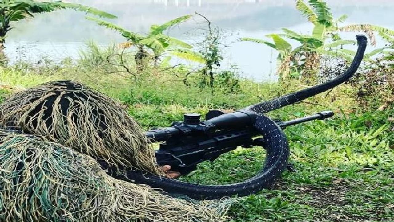 ശരീരത്തിൽ ചുറ്റിപ്പിണഞ്ഞ് രാജവെമ്പാല; ഒരടി പിന്നോട്ടു മാറാതെ സൈനികൻ