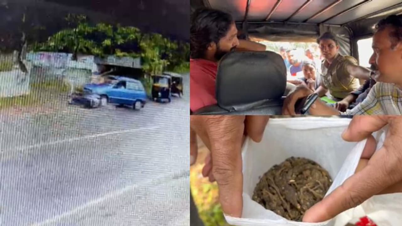 അപകടത്തിൽ പെട്ട കാറിലുള്ളവർ അടുത്ത പറമ്പിലേക്ക് പൊതി വലിച്ചെറിഞ്ഞു, എ്കസൈസ് കണ്ടെത്തിയ പൊതിയിൽ കഞ്ചാവ് അപകടത്തിൽ പെട്ട കാറിലുള്ളവർ അടുത്ത പറമ്പിലേക്ക് പൊതി വലിച്ചെറിഞ്ഞു, എ്കസൈസ് കണ്ടെത്തിയ പൊതിയിൽ കഞ്ചാവ്