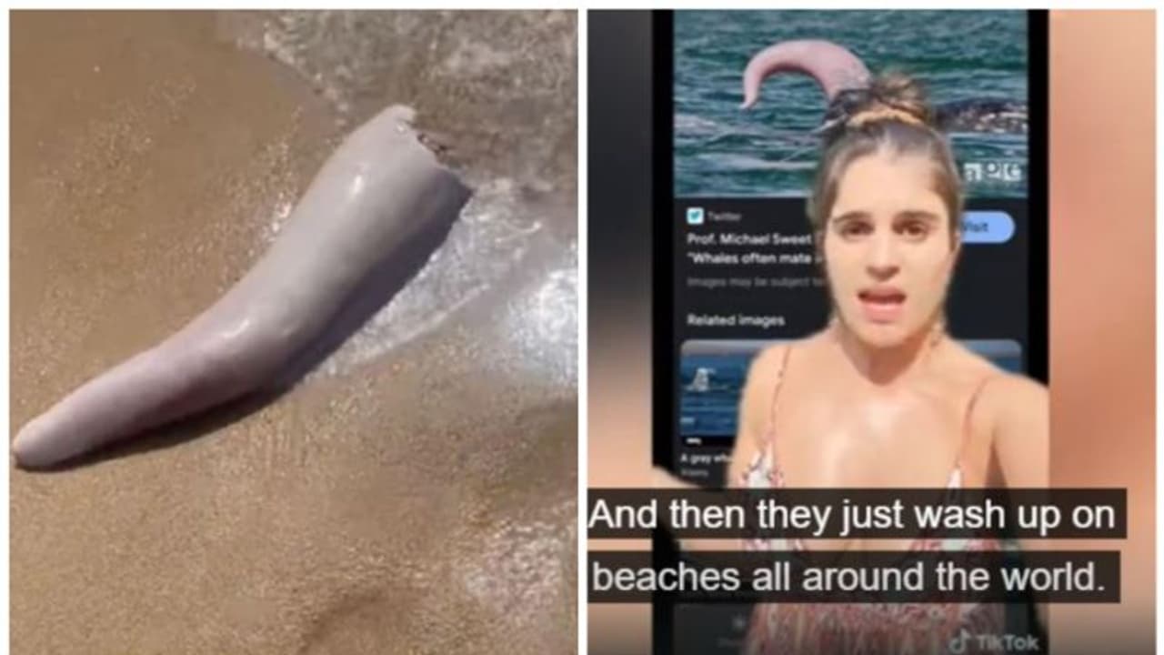 ബീച്ചിൽ കാണപ്പെട്ട ഈ വസ്തു എന്താണ്? യുവതി ചോദിക്കുന്നു