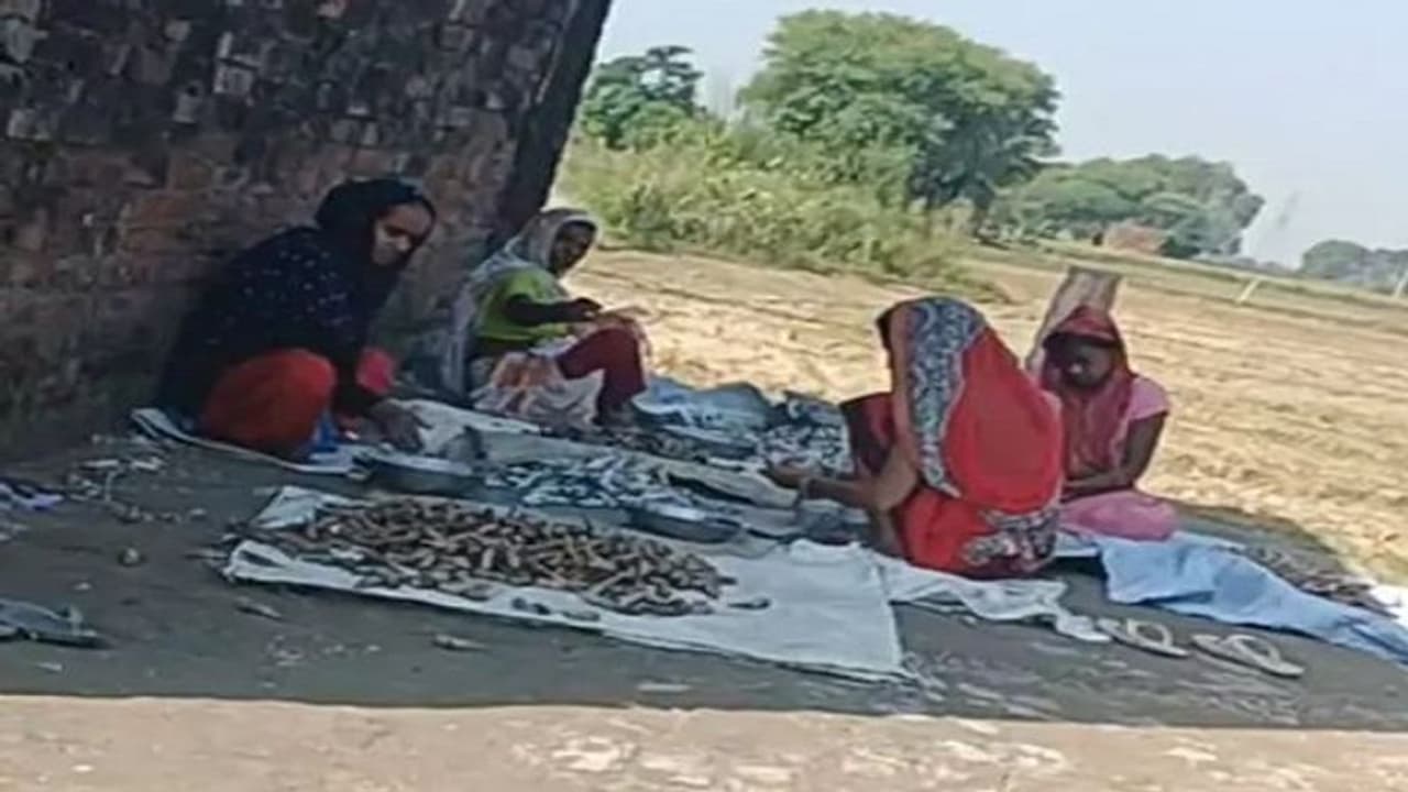 आगरा के इस गांव में होती है 'बमों की खेती', जगह जगह तिरपाल पर पड़े रहते हैं सुतली बम