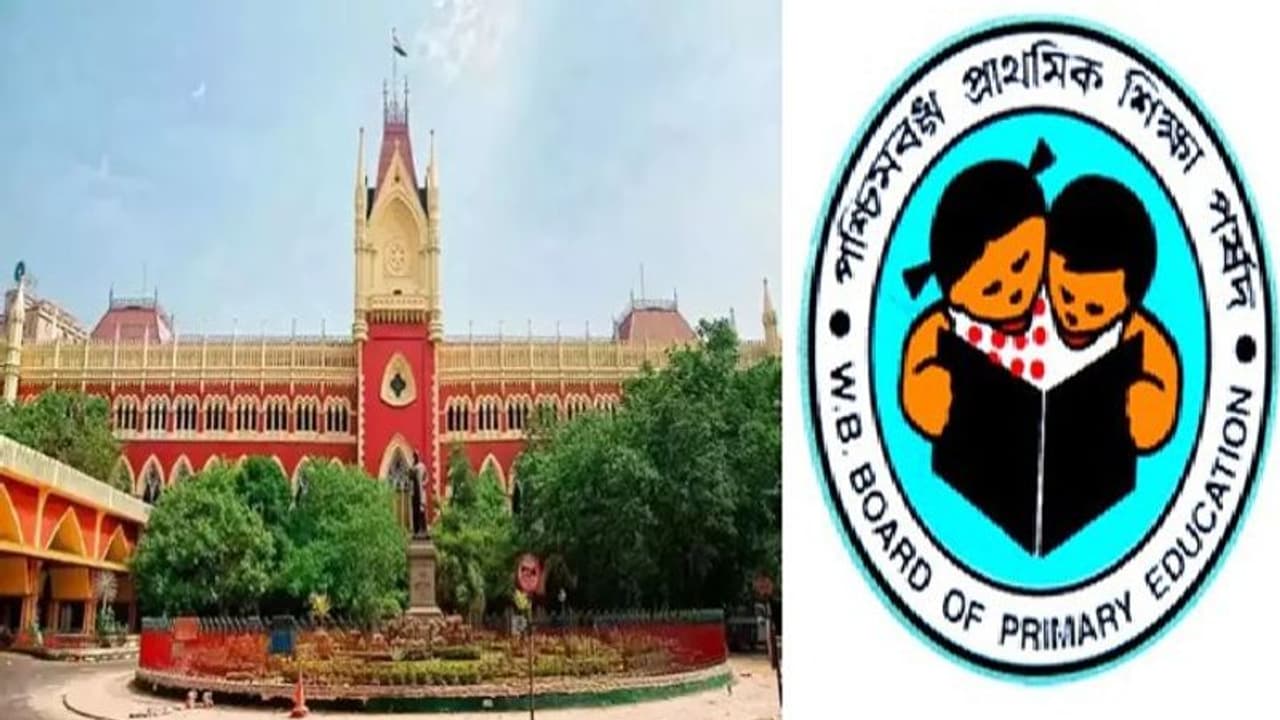 ঘুরে গেল অভিযোগের তীর, এবার চাকরিপ্রার্থীদের ধর্নার বিরুদ্ধে অভিযোগ নিয়ে হাইকোর্টে গেল প্রাথমিক শিক্ষা পর্ষদ