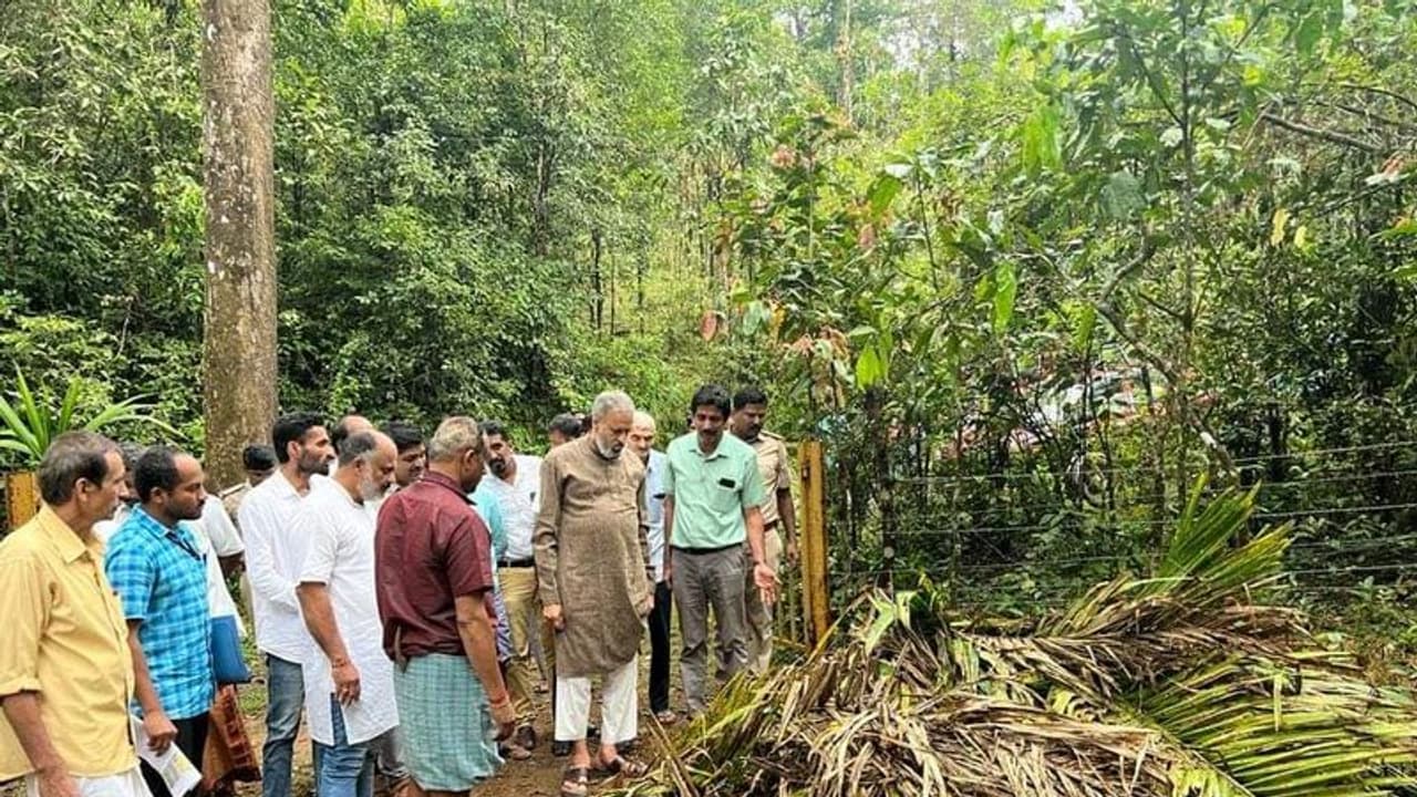ಅಡಕೆಗೆ ಎಲೆ ಚುಕ್ಕಿರೋಗ, ಜಿಲ್ಲೆಗೂ ತಟ್ಟಿದ ಭೀತಿ! ಅಡಕೆಗೆ ಎಲೆ ಚುಕ್ಕಿರೋಗ, ಜಿಲ್ಲೆಗೂ ತಟ್ಟಿದ ಭೀತಿ!