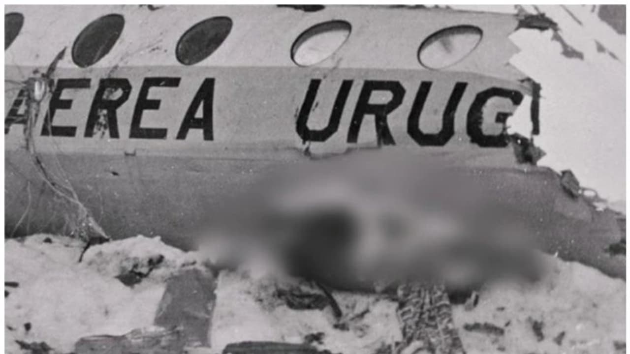 നരഭോജനം ബുദ്ധിമുട്ടായിരുന്നു, പക്ഷേ അന്ന് ശീലമായി; പശ്ചാത്താപമില്ലെന്നും ആൻഡസ് വിമാനാപകടത്തിൽ രക്ഷപ്പെട്ടവർ നരഭോജനം ബുദ്ധിമുട്ടായിരുന്നു, പക്ഷേ അന്ന് ശീലമായി; പശ്ചാത്താപമില്ലെന്നും ആൻഡസ് വിമാനാപകടത്തിൽ രക്ഷപ്പെട്ടവർ