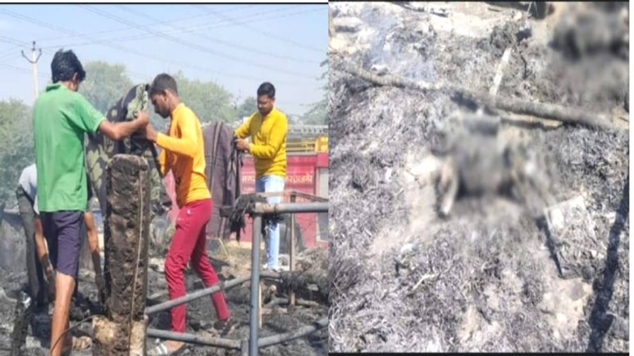 छोटे भाई बहनों के लिए बना रहा था चाय, अचानक लगी आग, वो मदद को चीखते रहे जब तक हेल्प आई सब हुआ खत्म.. छोटे भाई बहनों के लिए बना रहा था चाय, अचानक लगी आग, वो मदद को चीखते रहे जब तक हेल्प आई सब हुआ खत्म..