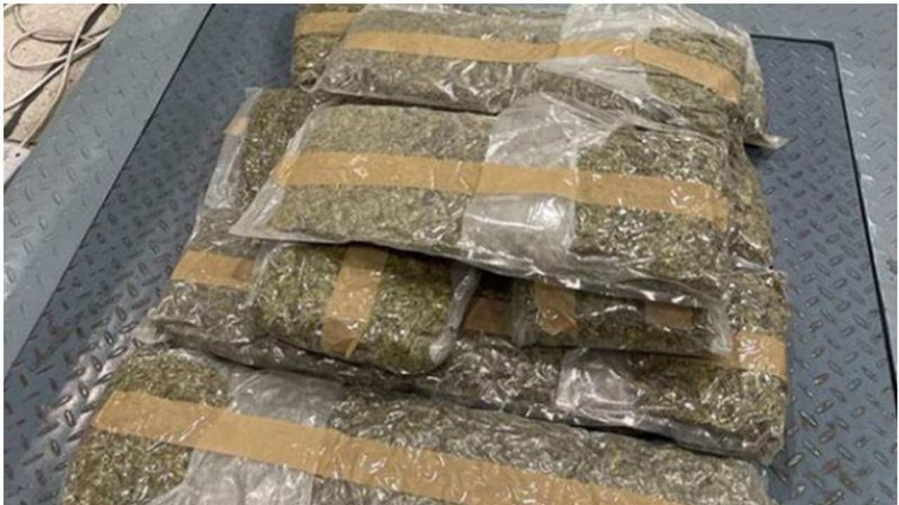 കിലോക്കണക്കിന് കഞ്ചാവുമായി വിമാനത്താവളത്തില്‍; വിശദ പരിശോധനയില്‍ യുവാവ് പിടിയില്‍