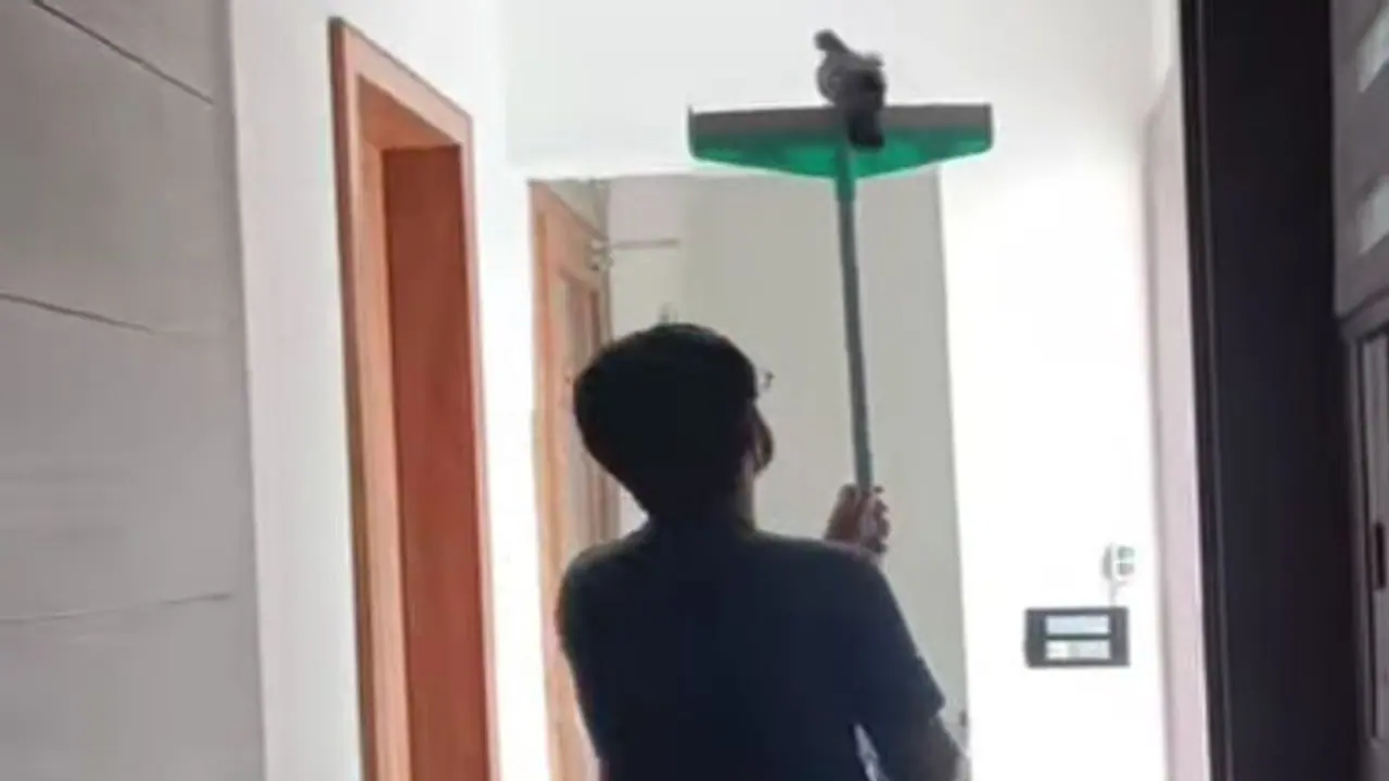 अजीम ओ शहंशाह पधार रहे.. कबूतर निकालने की जो तरकीब भिड़ाई, तारीफ किए बिना आप भी नहीं रहेंगे अजीम ओ शहंशाह पधार रहे.. कबूतर निकालने की जो तरकीब भिड़ाई, तारीफ किए बिना आप भी नहीं रहेंगे