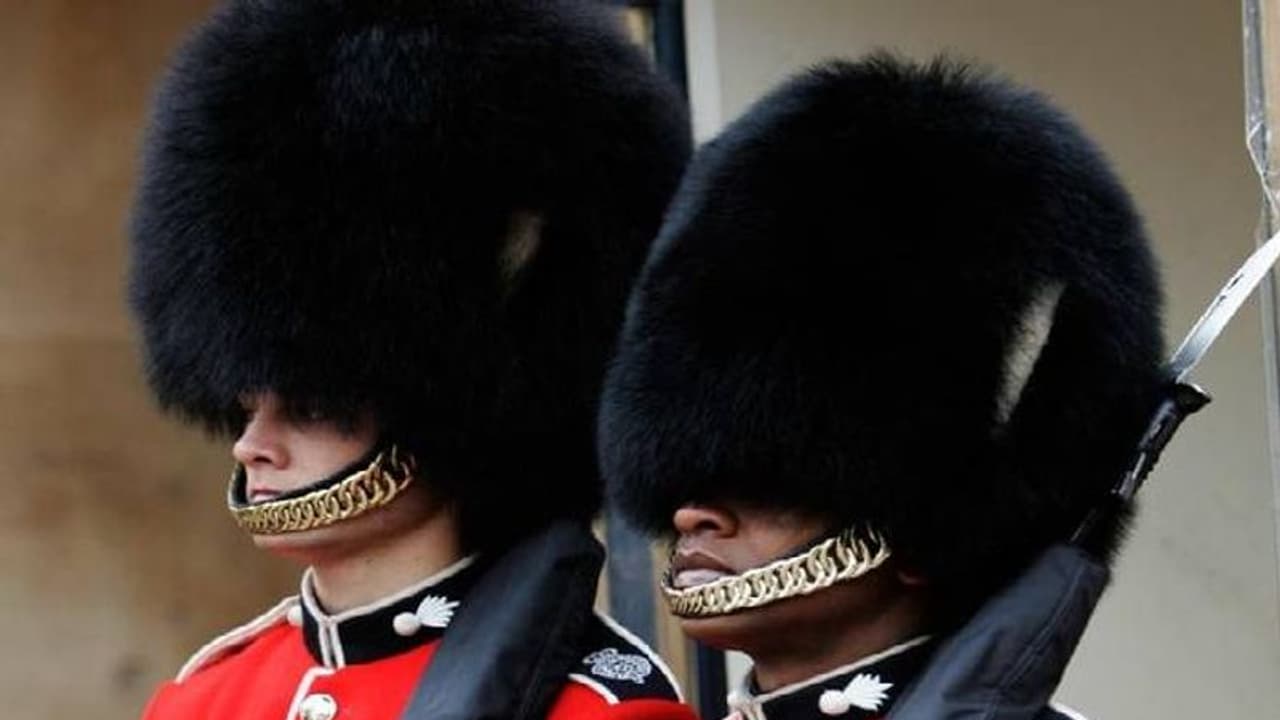 രാജാവിന്റെ കാവൽക്കാരുടെ തൊപ്പി നിർമ്മാണം, ഓരോ വർഷം കൊല്ലുന്നത് 100 കരടികളെ?