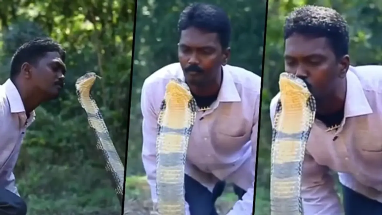 Kerala man kisses king cobra on head; spine chilling video goes viral