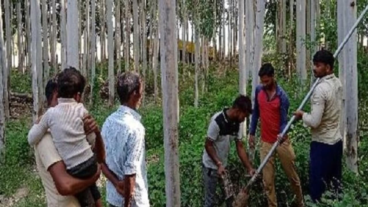 यूपी के इस गांव में लालटेन और मोमबत्ती की रोशनी में होती थी दिवाली, 75 साल बाद इस वजह से खिले सभी के चेहरे यूपी के इस गांव में लालटेन और मोमबत्ती की रोशनी में होती थी दिवाली, 75 साल बाद इस वजह से खिले सभी के चेहरे