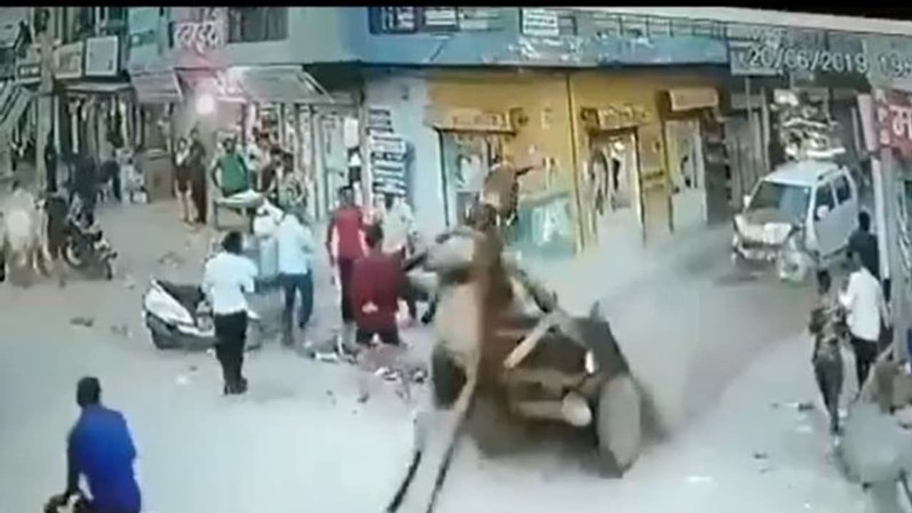 सीट बेल्ट पहनना कितना जरूरी है, यह बात इस गधे को भी समझ में आ गई होगी, जरूर देखिए वीडियो सीट बेल्ट पहनना कितना जरूरी है, यह बात इस गधे को भी समझ में आ गई होगी, जरूर देखिए वीडियो