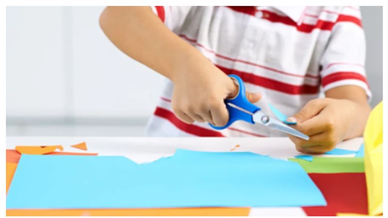 കത്രികകൾ സ്കൂളിലേക്ക് കൊണ്ട് വരുന്നതിന് നിരോധനം; സുരക്ഷ ഉറപ്പാക്കാനെന്ന് അധികൃതര്‍